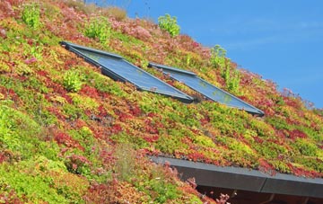 Exbourne living roof systems