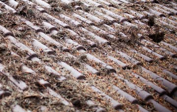 Exbourne roof cleaning companies